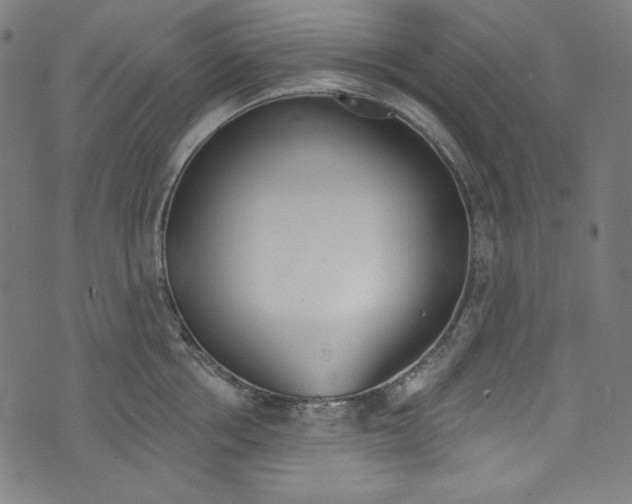 X0000073970858200609181449