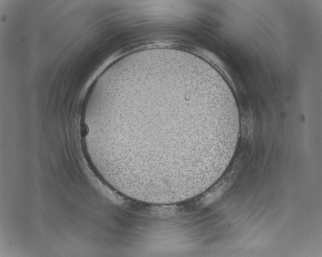 X0000073970859200609181449