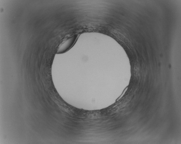 X0000073970865200609181449