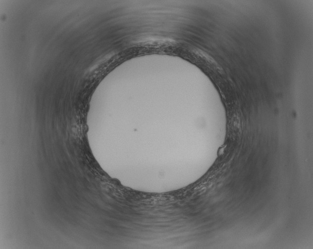 X0000073970869200609181449