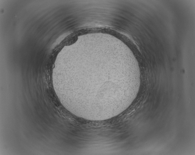 X0000073970871200609181449