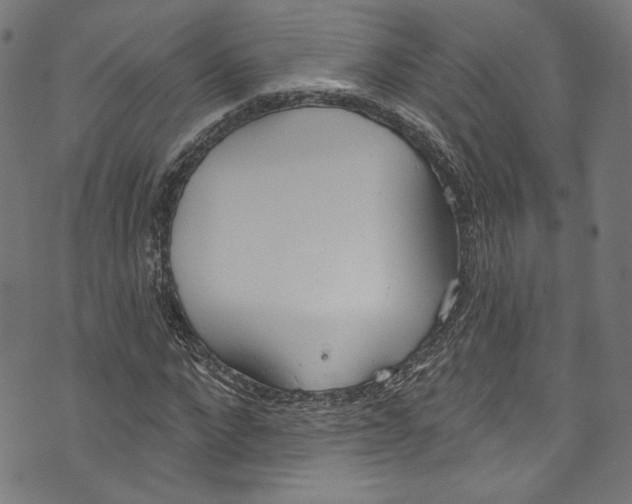 X0000073970872200609181449