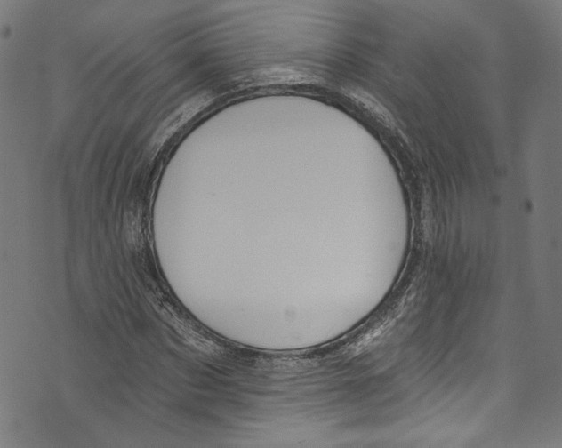 X0000073970873200609181449