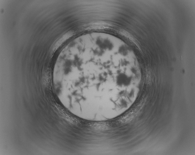 X0000073970874200609181449