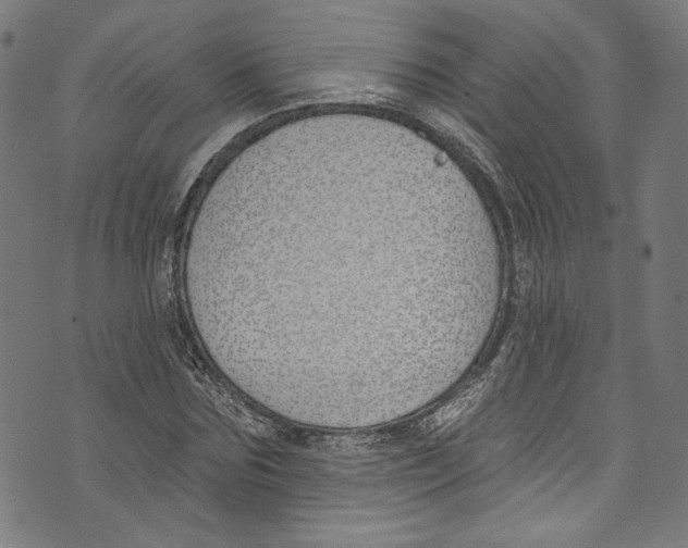 X0000073970875200609181449