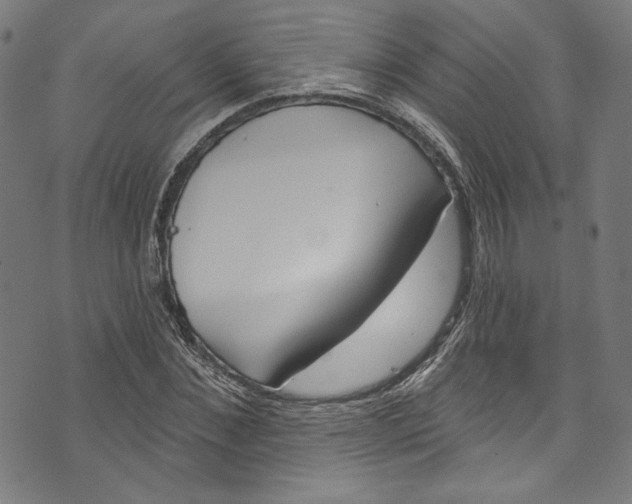 X0000073970876200609181449