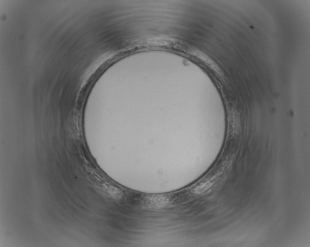 X0000073970878200609181449