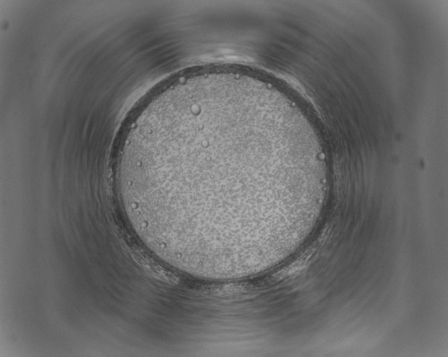 X0000073970879200609181449