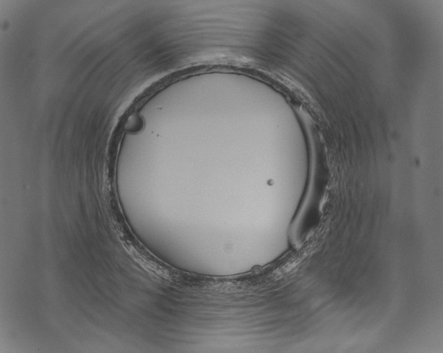 X0000073970880200609181449