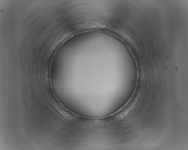 X0000073970881200609181449