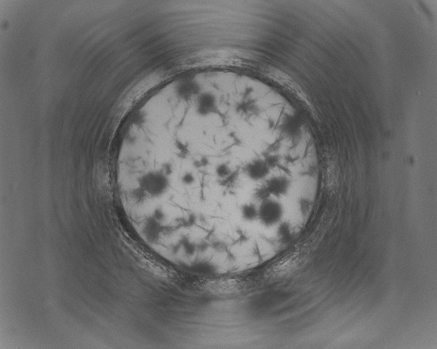 X0000073970882200609181449