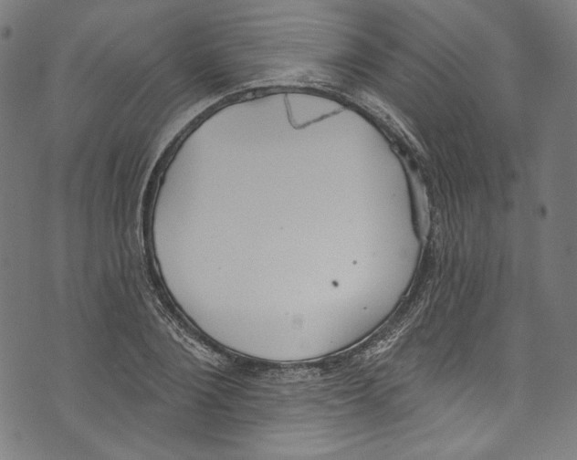 X0000073970884200609181448