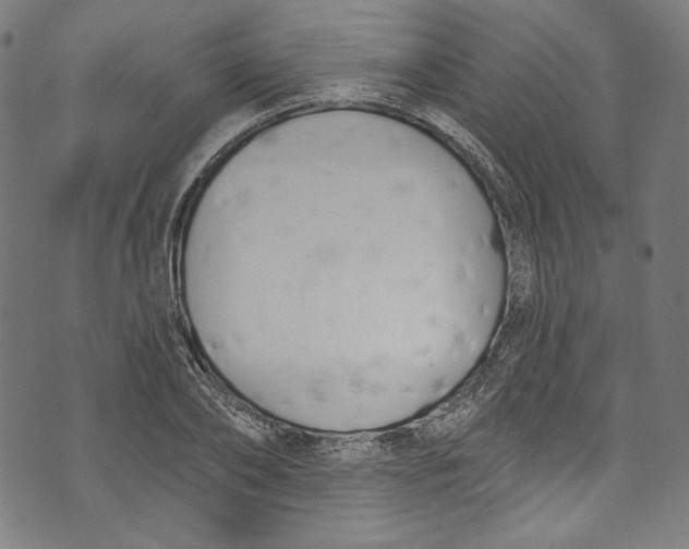 X0000073970886200609181448