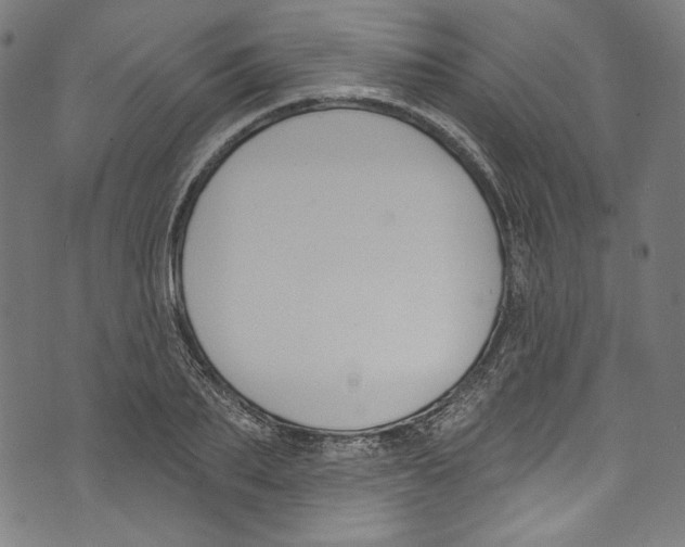 X0000073970887200609181448