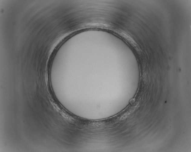 X0000073970888200609181448