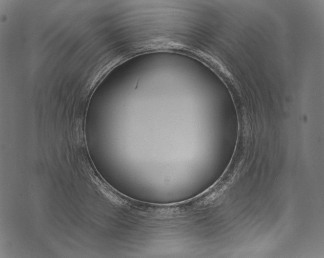 X0000073970889200609181448