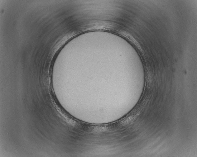 X0000073970890200609181448