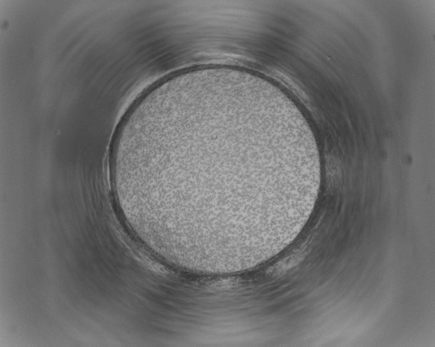 X0000073970891200609181448