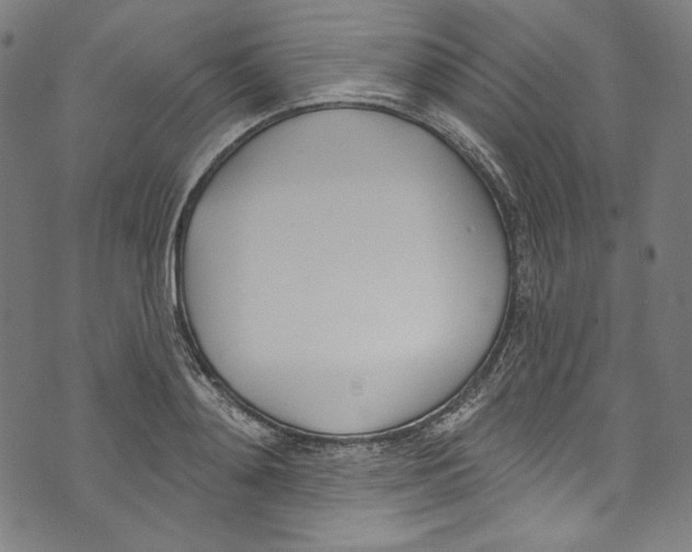 X0000073970892200609181448