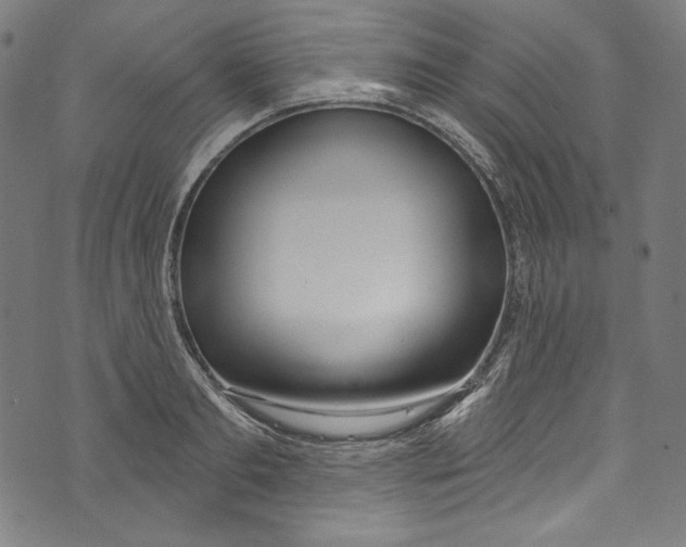 X0000073970893200609181448