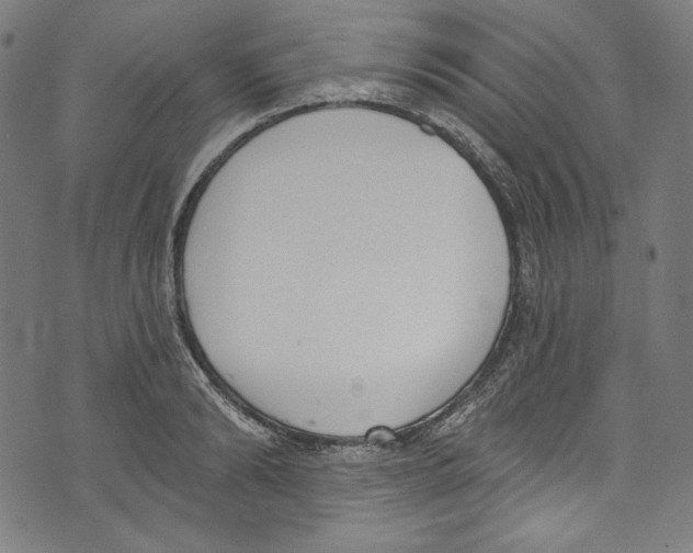 X0000073970894200609181448