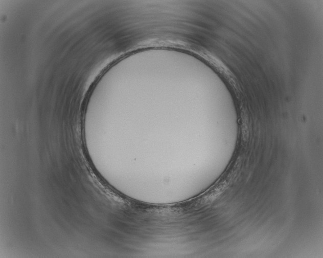 X0000073970896200609181448