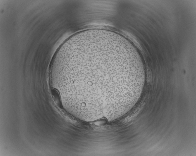 X0000073970899200609181448