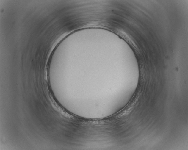 X0000073970900200609181448