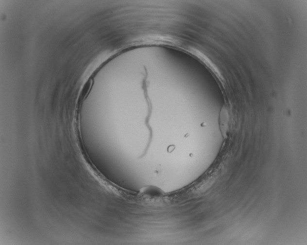 X0000073970901200609181448