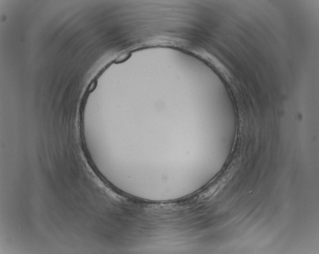 X0000073970902200609181448