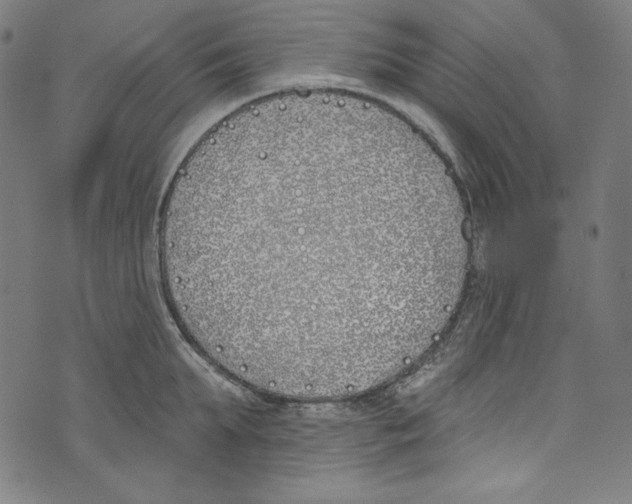 X0000073970903200609181448