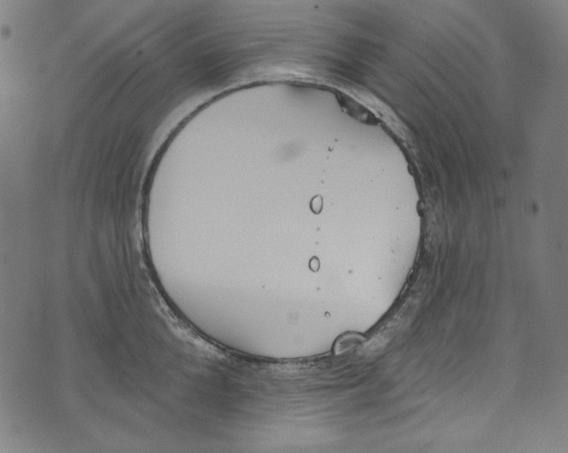 X0000073970904200609181448