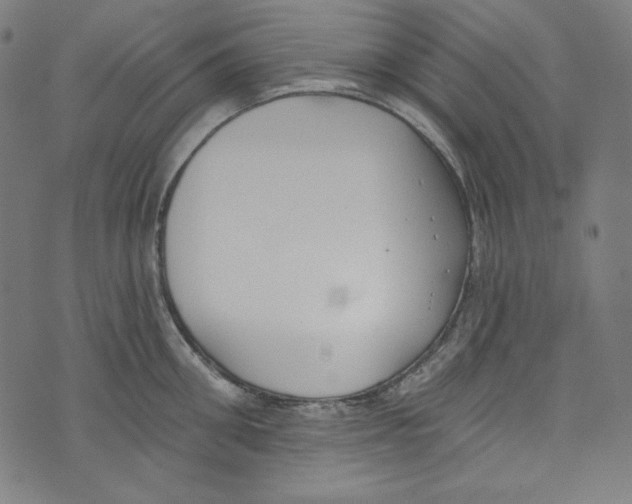 X0000073970906200609181448