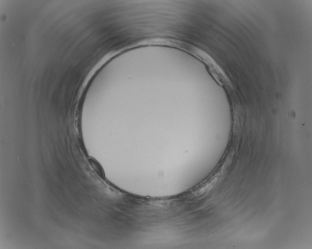 X0000073970908200609181448