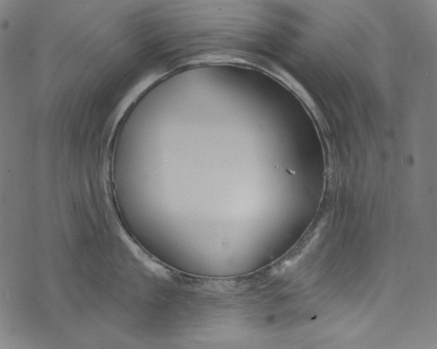 X0000073970909200609181448