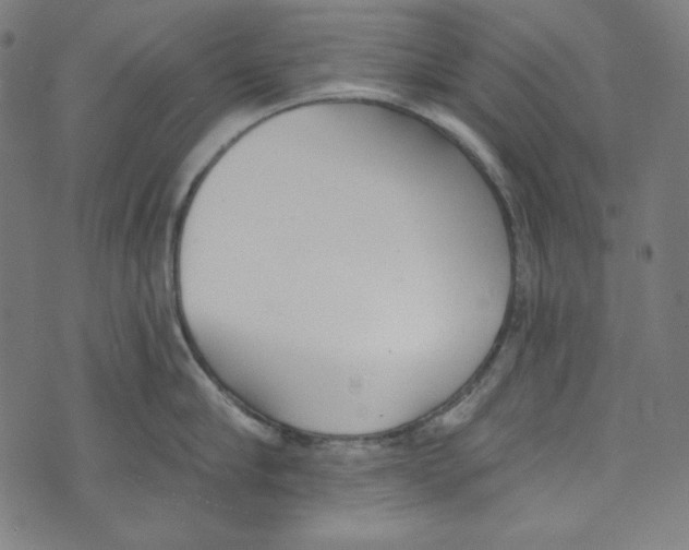 X0000073970910200609181448