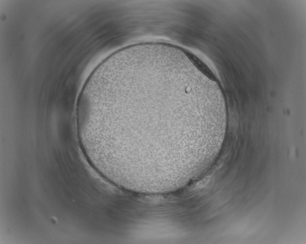 X0000073970911200609181448