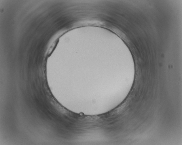 X0000073970912200609181448