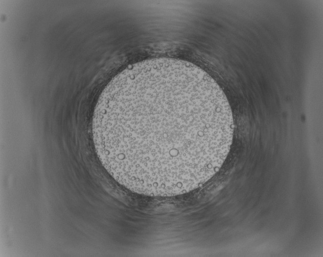 X0000073970913200609181447