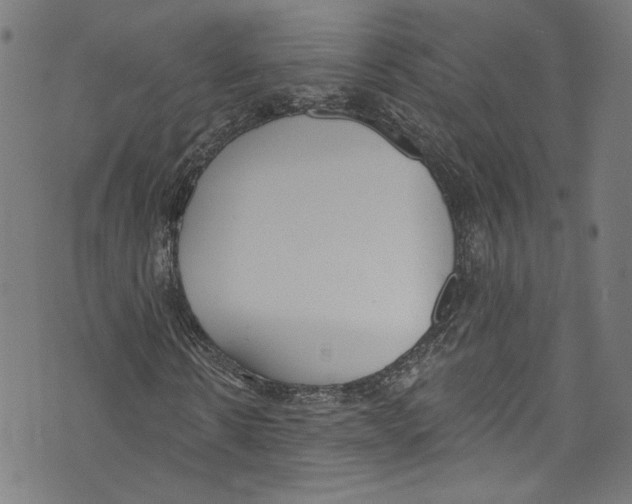 X0000073970914200609181447