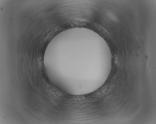 X0000073970915200609181447