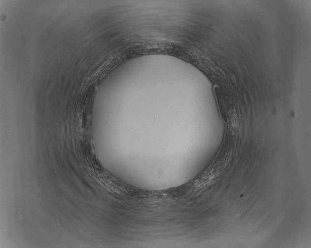 X0000073970916200609181447