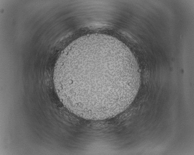 X0000073970917200609181447