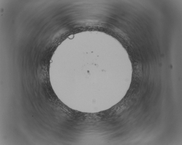 X0000073970918200609181447