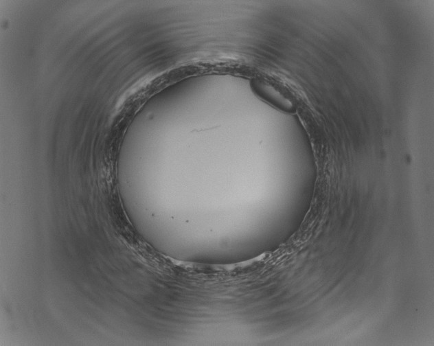 X0000073970920200609181447