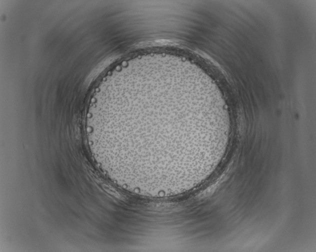 X0000073970921200609181447