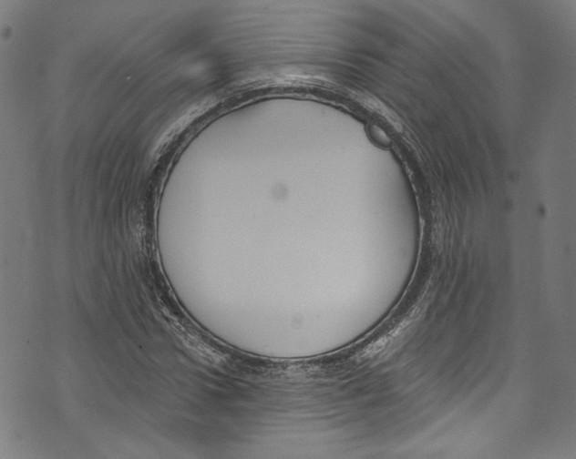 X0000073970922200609181447