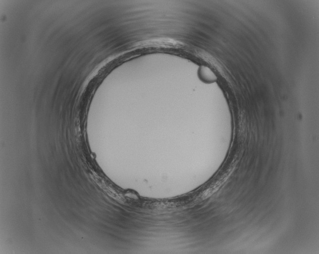 X0000073970923200609181447