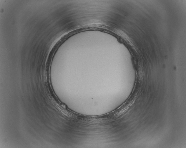 X0000073970924200609181447