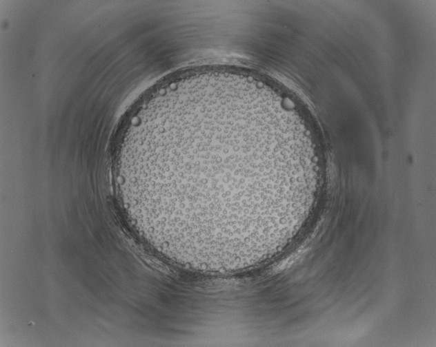 X0000073970925200609181447